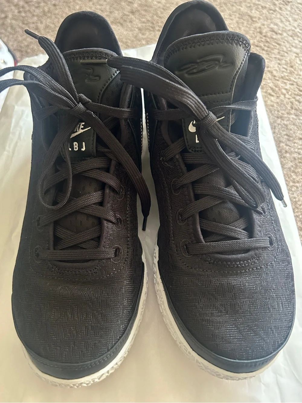 Nike Zoom LeBron NXXT Gen